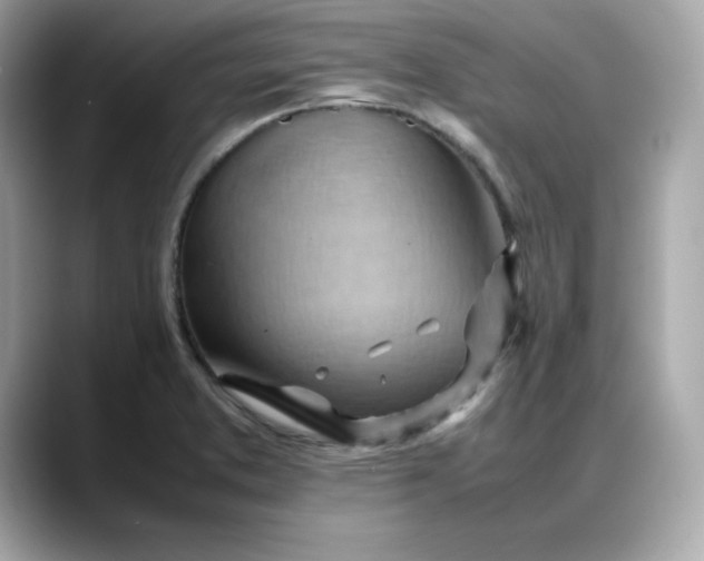 X0000088371373200706051034