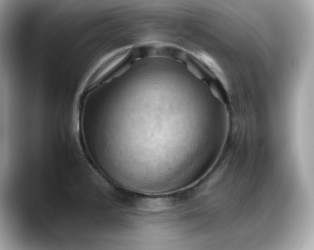 X0000088371376200706051034