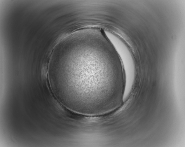 X0000088371377200706051034