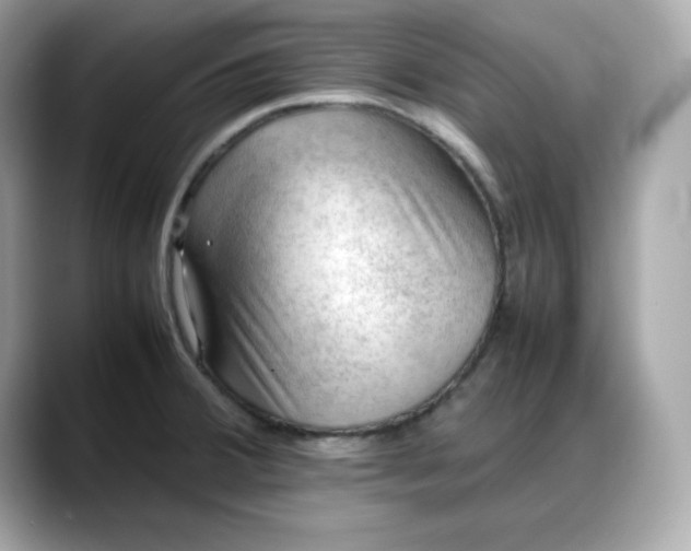 X0000088371380200706051033