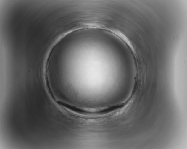 X0000088371381200706051033