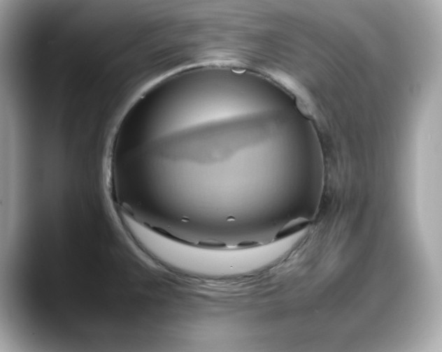X0000088371383200706051033
