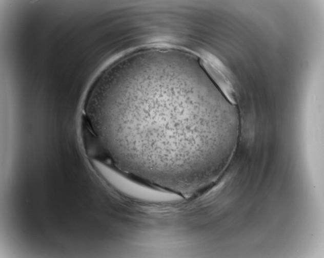 X0000088371384200706051033