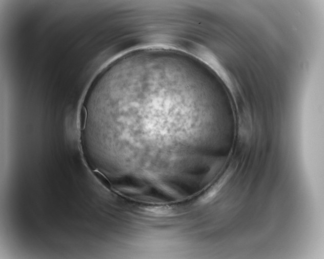 X0000088371388200706051033