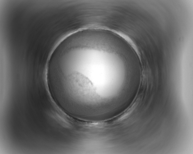 X0000088371390200706051033