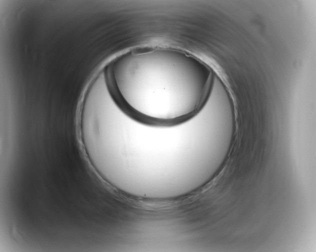 X0000088371392200706051033