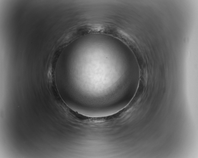 X0000088371394200706051033
