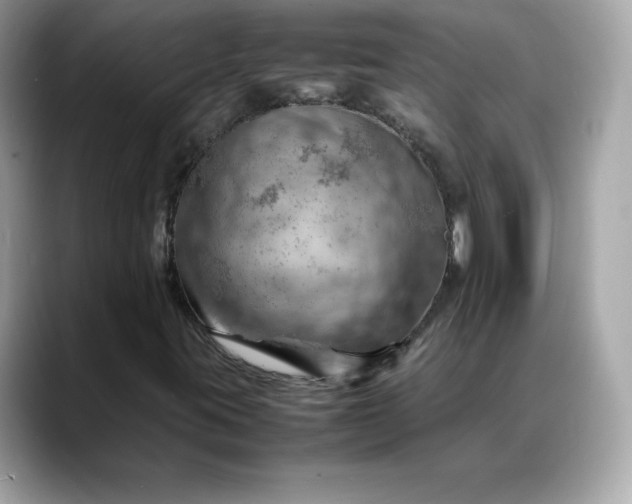 X0000088371395200706051033