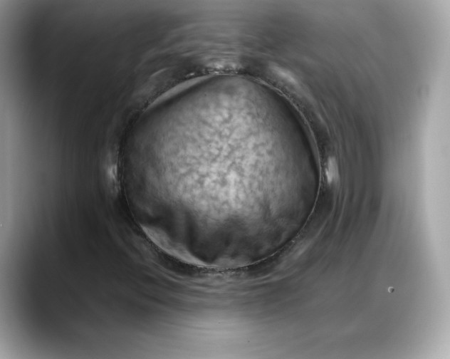 X0000088371396200706051033