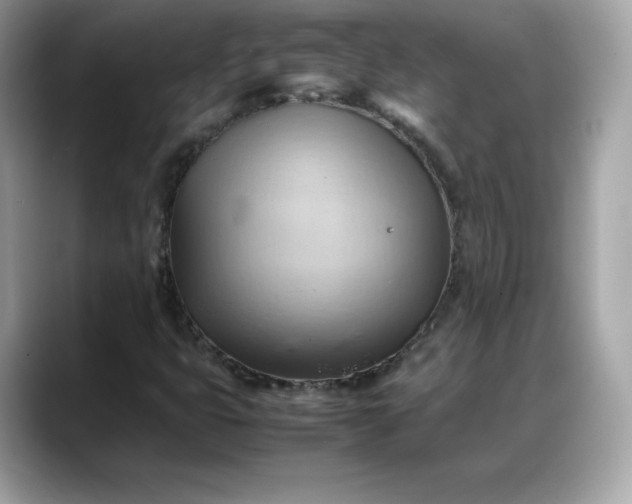 X0000088371399200706051033