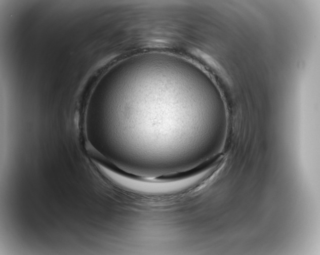 X0000088371402200706051033