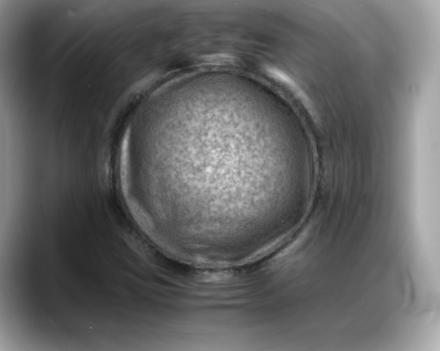 X0000088371403200706051033