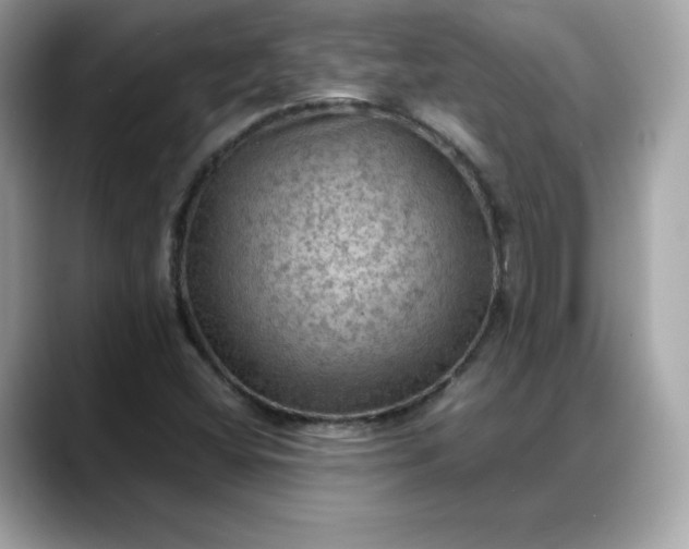 X0000088371404200706051033