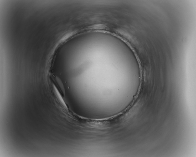 X0000088371405200706051033