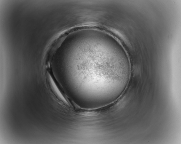 X0000088371406200706051033