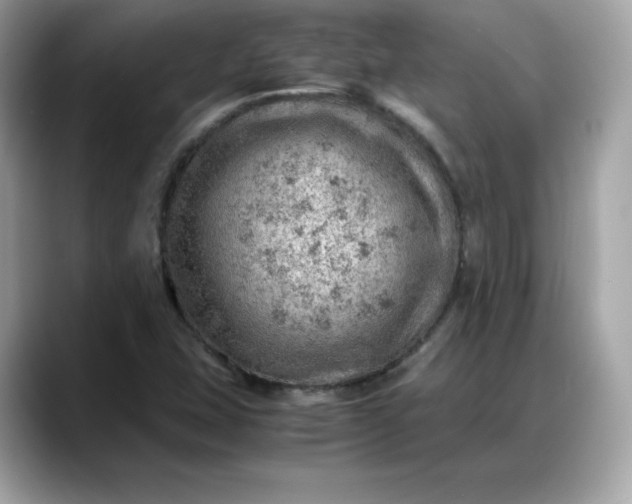 X0000088371407200706051033