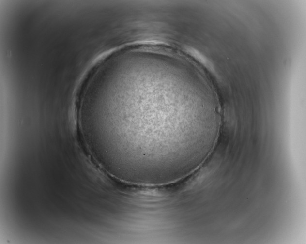 X0000088371408200706051033
