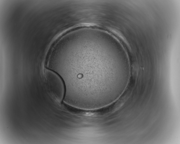 X0000088371412200706051033
