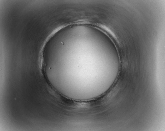 X0000088371413200706051033