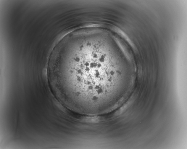 X0000088371417200706051033