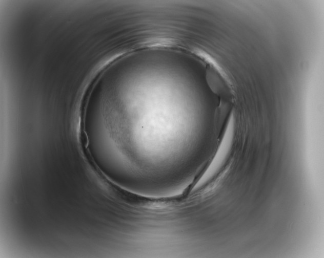 X0000088371418200706051033