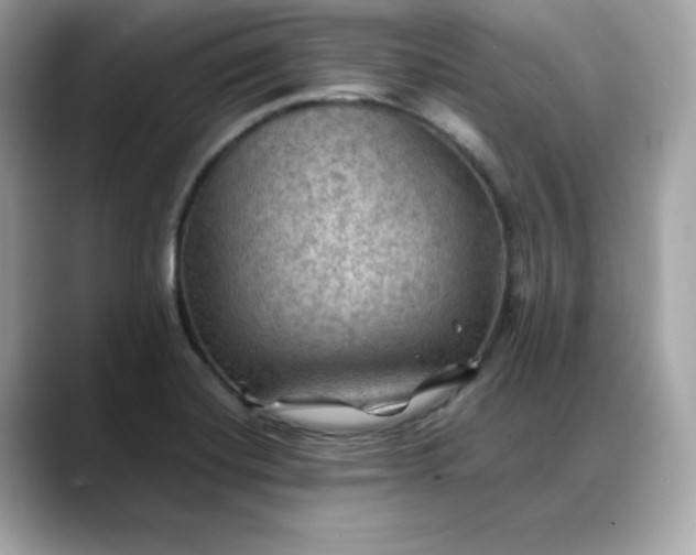 X0000088371420200706051033