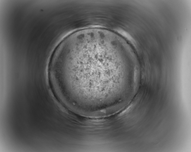 X0000088371423200706051033