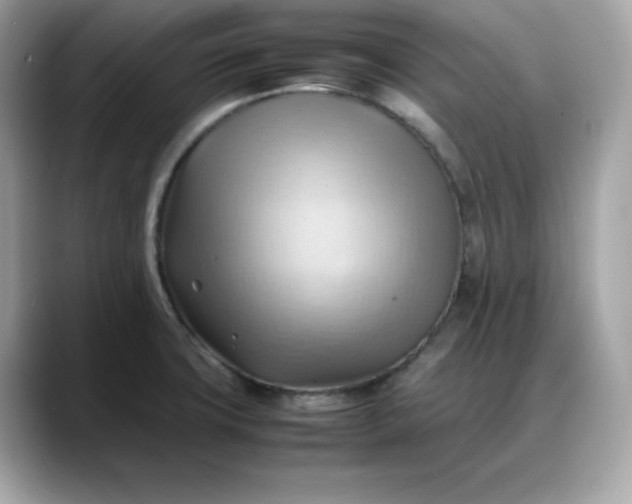 X0000088371427200706051033