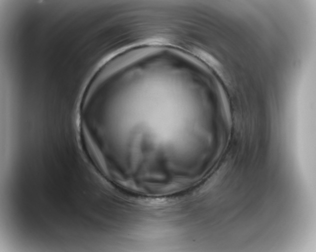 X0000088371428200706051033