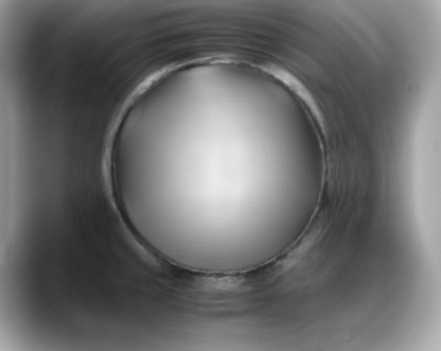 X0000088371429200706051033