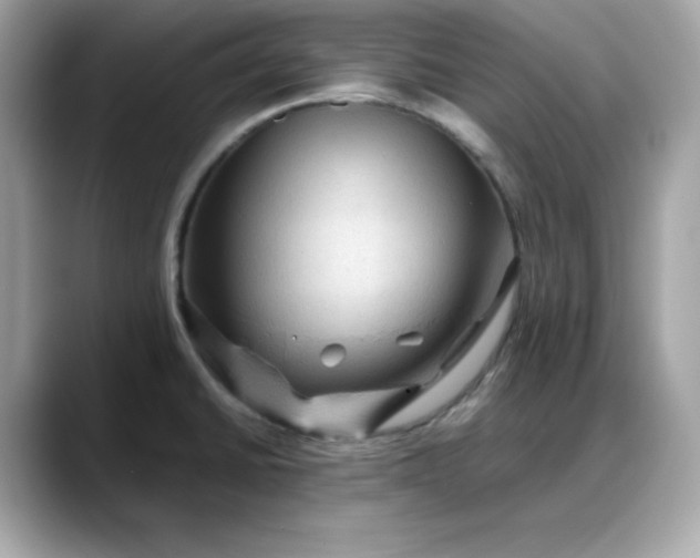 X0000088371430200706051033