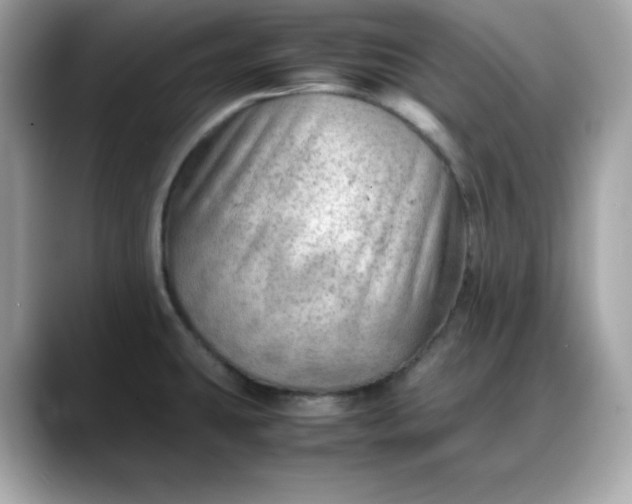 X0000088371431200706051033