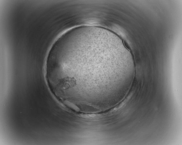 X0000088371432200706051033
