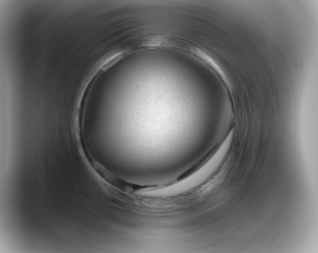 X0000088371434200706051033