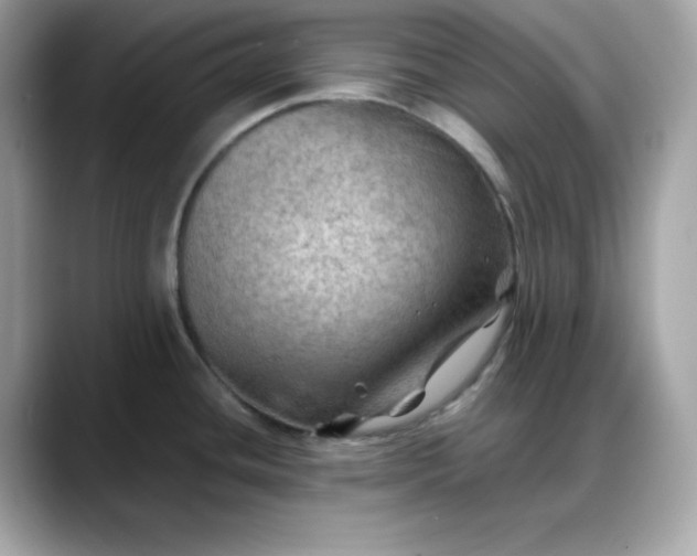 X0000088371436200706051033