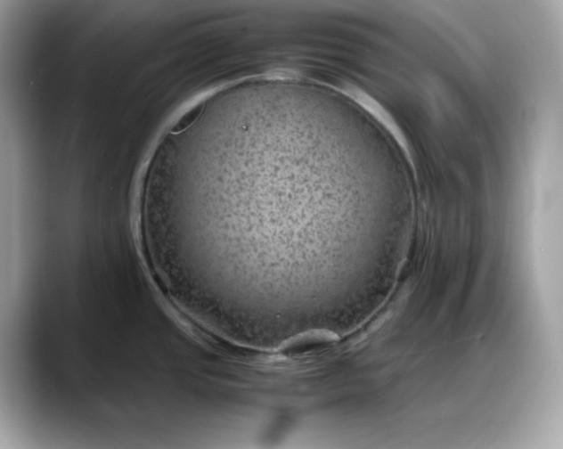 X0000088371437200706051033