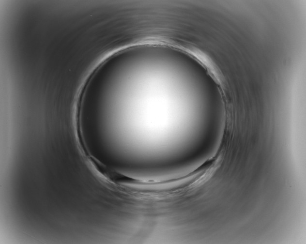 X0000088371438200706051033