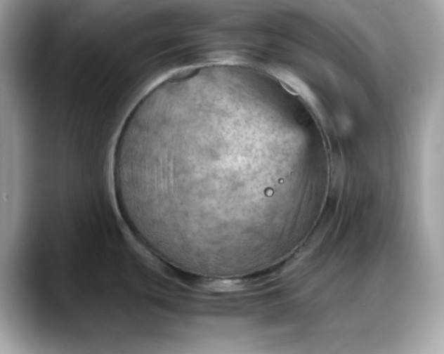 X0000088371439200706051033
