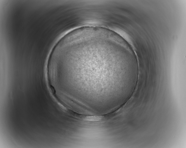 X0000088371440200706051033