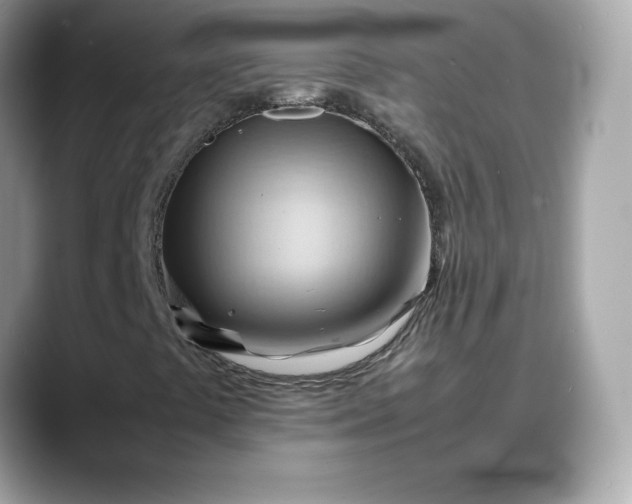 X0000088371441200706051033