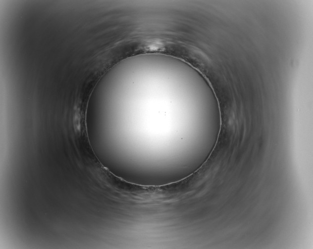 X0000088371442200706051033