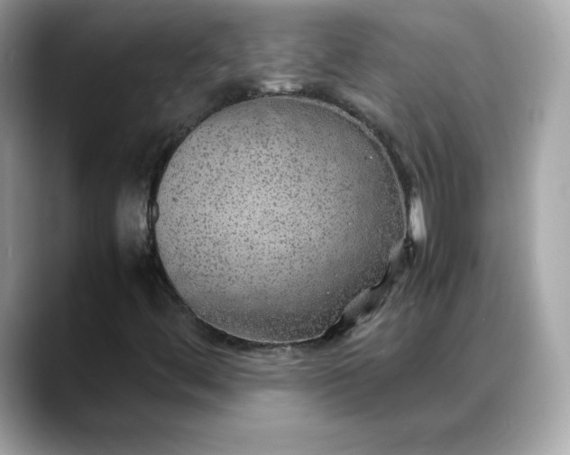 X0000088371444200706051033