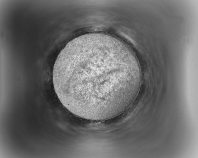 X0000088371447200706051033