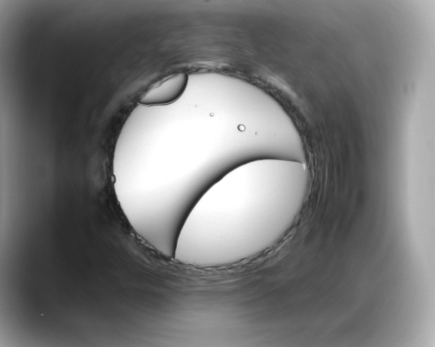X0000088371448200706051033
