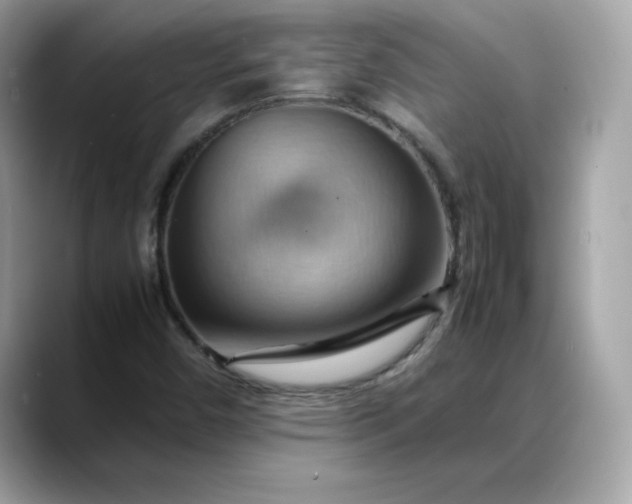 X0000088371450200706051033