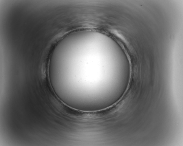 X0000088371451200706051033