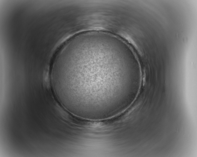 X0000088371452200706051033