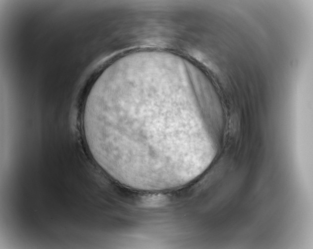 X0000088371454200706051033