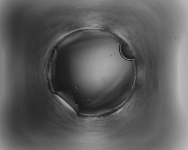 X0000088371455200706051033