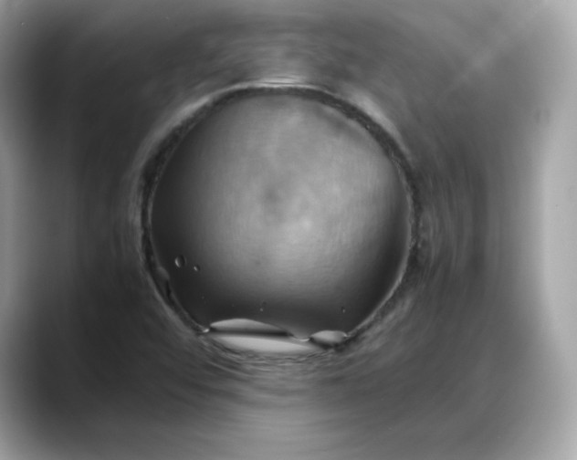 X0000088371456200706051033